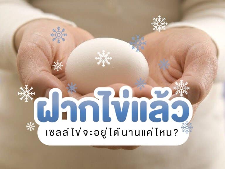 ฝากไข่ เก็บได้นานกี่ปีหรือเก็บได้นานแค่ไหน Beyond IVF