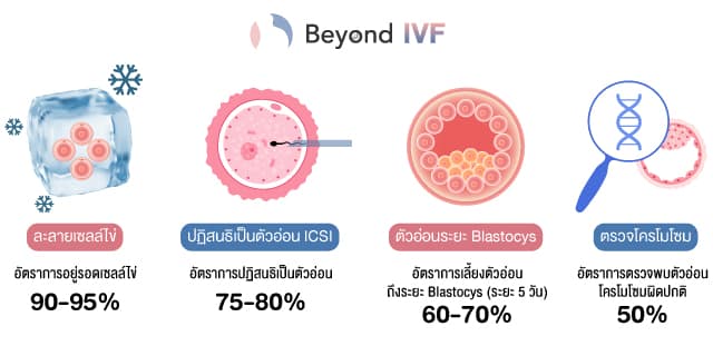 ฝากไข่กี่ฟองถึงจะดี อยากมีลูก มีลูกยาก Beyond IVF