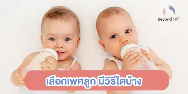 เลือกเพศลูก ราคา