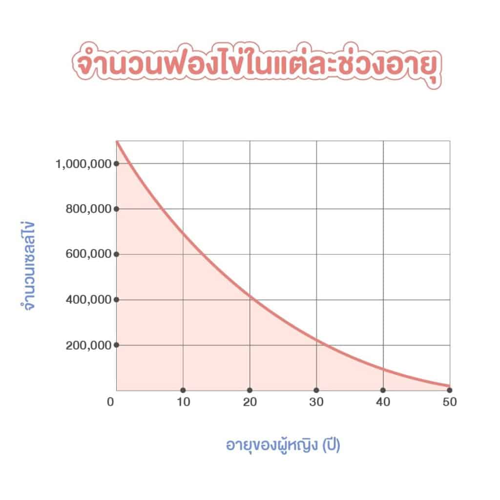 จำนวนฟองไข่ในแต่ละช่วงอายุ