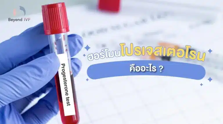 ฮอร์โมนโปรเจสเตอโรน