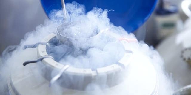 egg freezing treatment