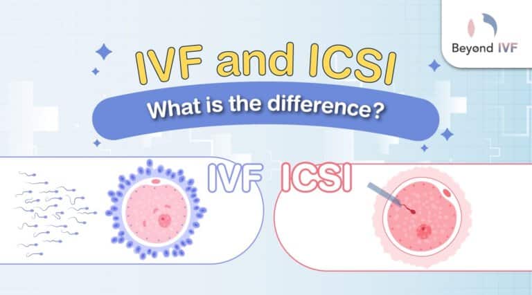 ivf and icsi