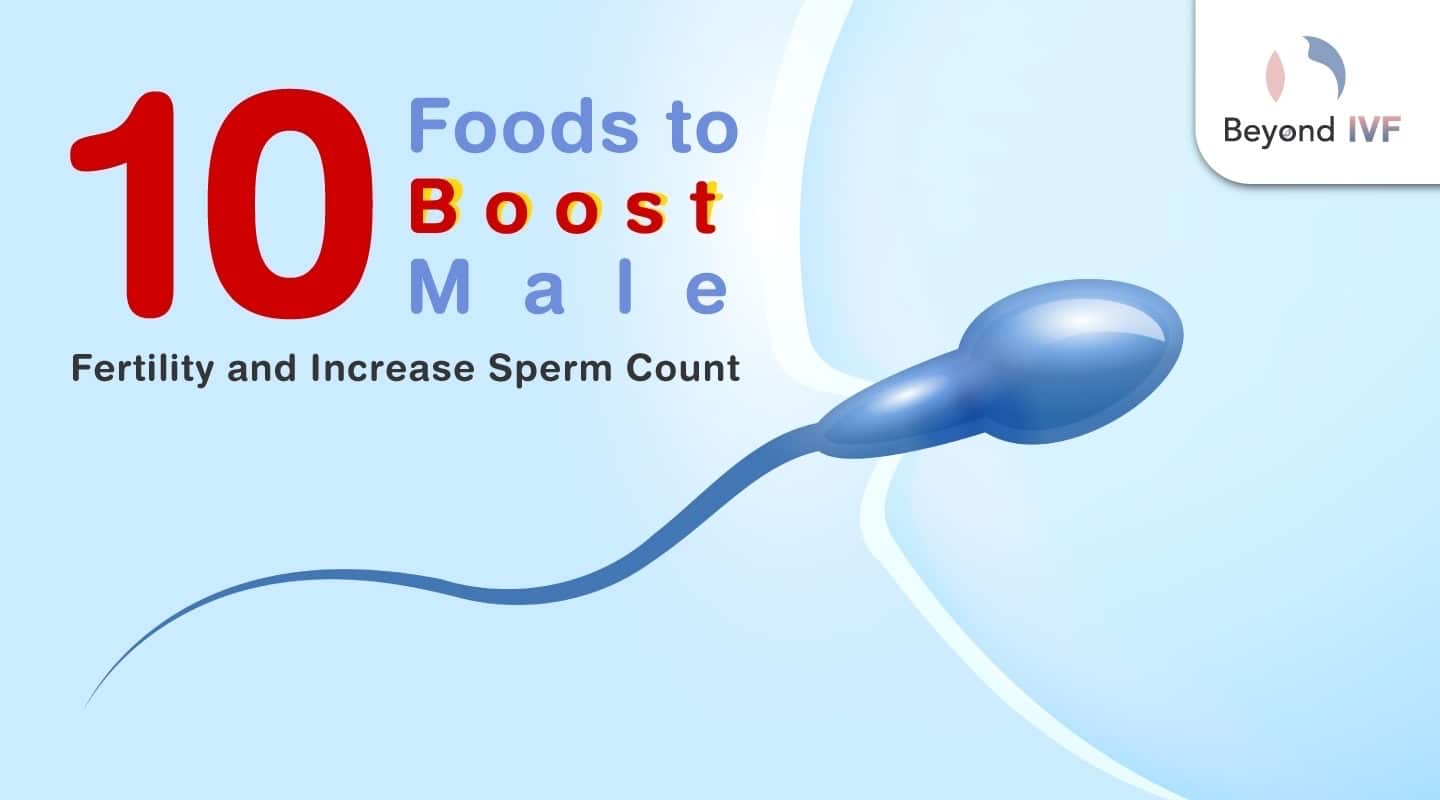sperm count increase food