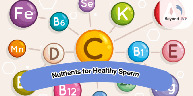 vitamin to increase sperm volume