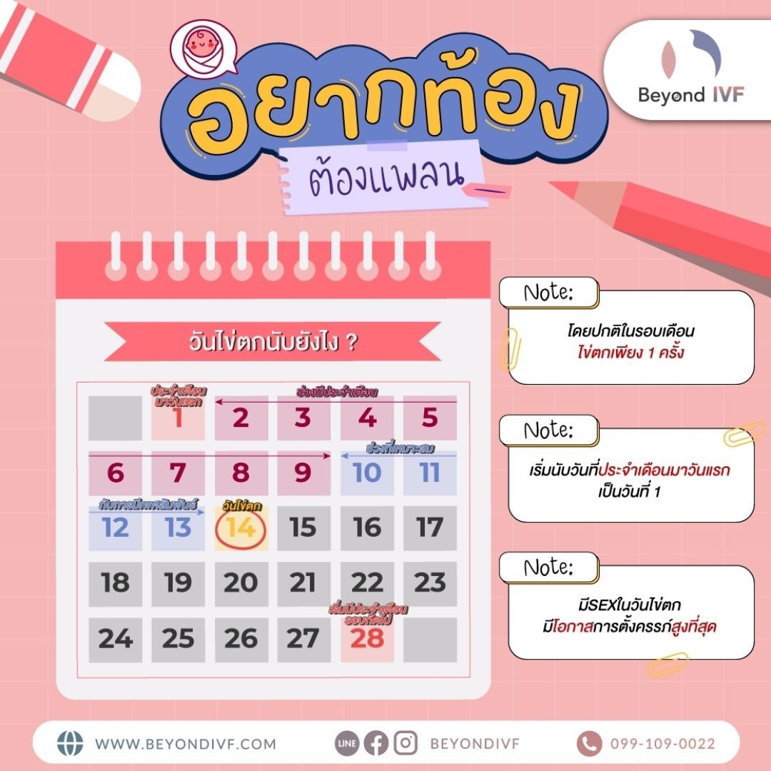 ตรวจไข่ตก-ไข่ตกข้างละเดือนจริงไหม