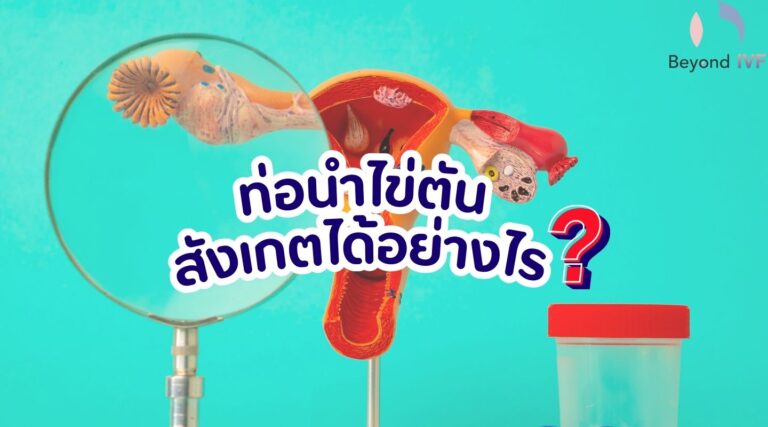 ท่อนำไข่ตันสังเกตได้อย่างไร ? ไขข้อสงสัยโดยคุณหมอกิตติ